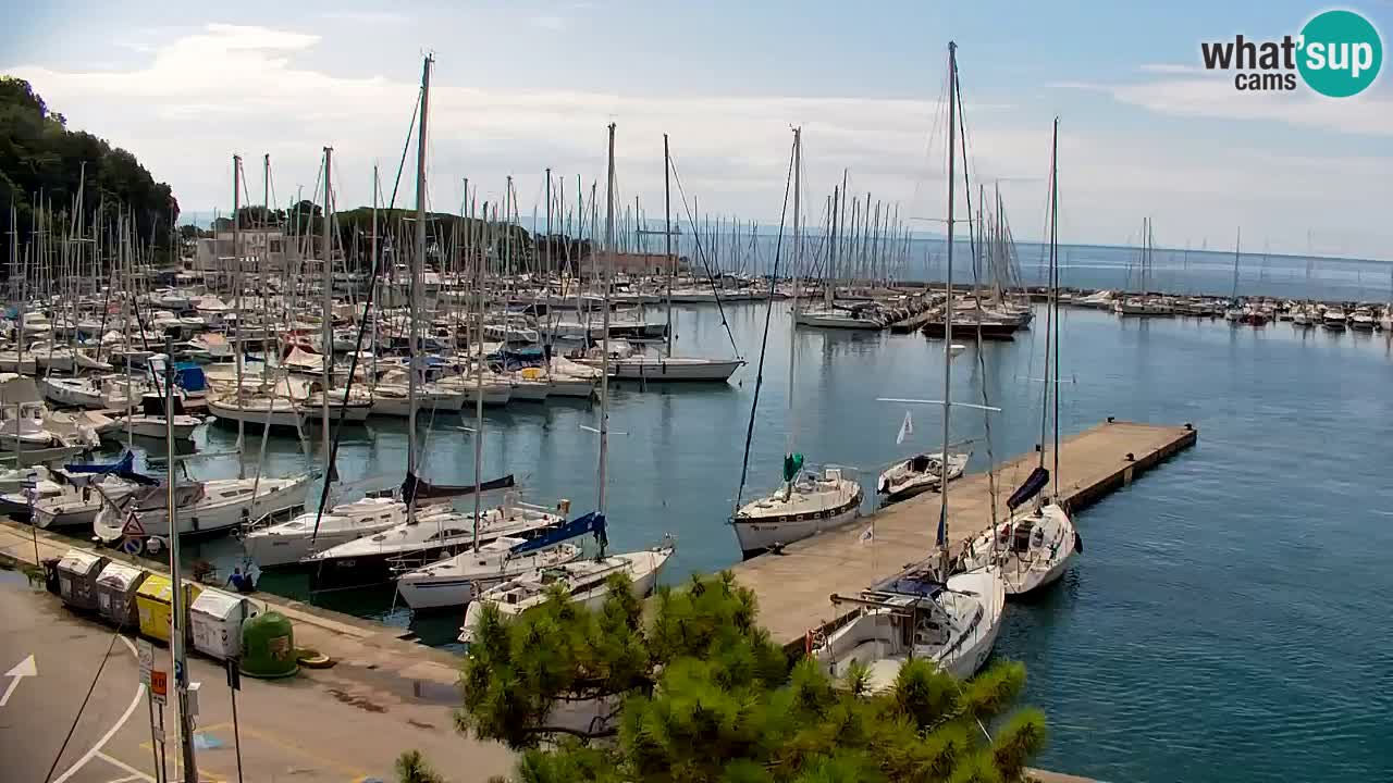 Webcam Bahía de Sistiana – Vista en directo del puerto deportivo y la costa