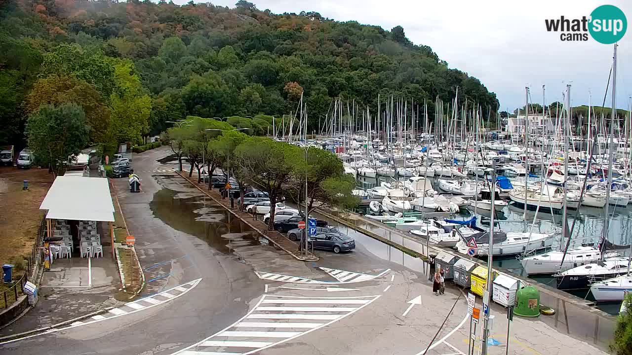 Webcam Sistiana Baia – Live View of the Marina and Gulf