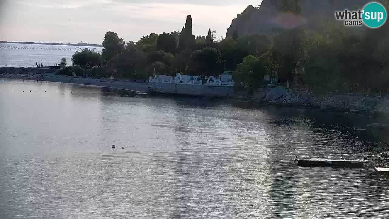 Web kamera Sistiana Uvala – Pogled uživo na marinu i zaljev