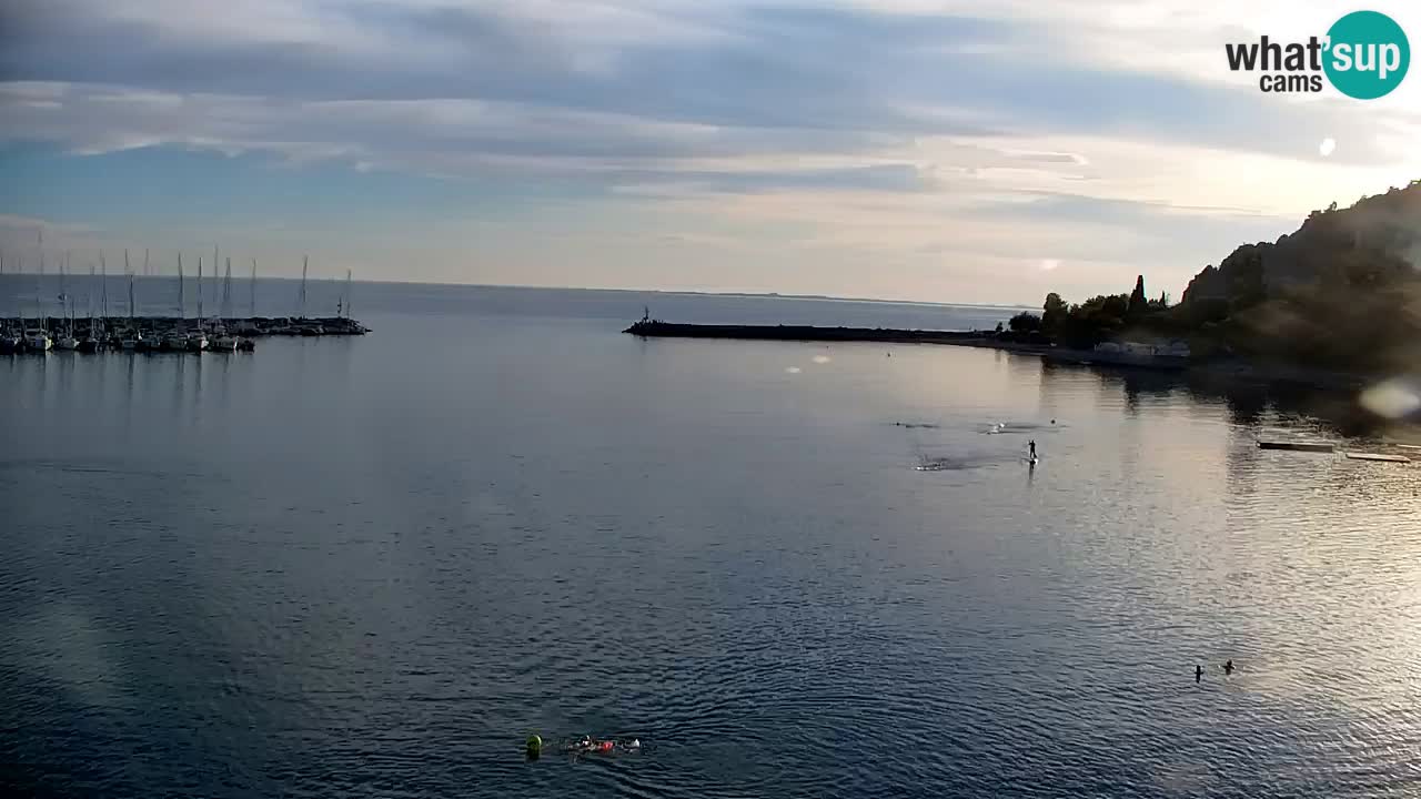 Web kamera Sistiana Uvala – Pogled uživo na marinu i zaljev