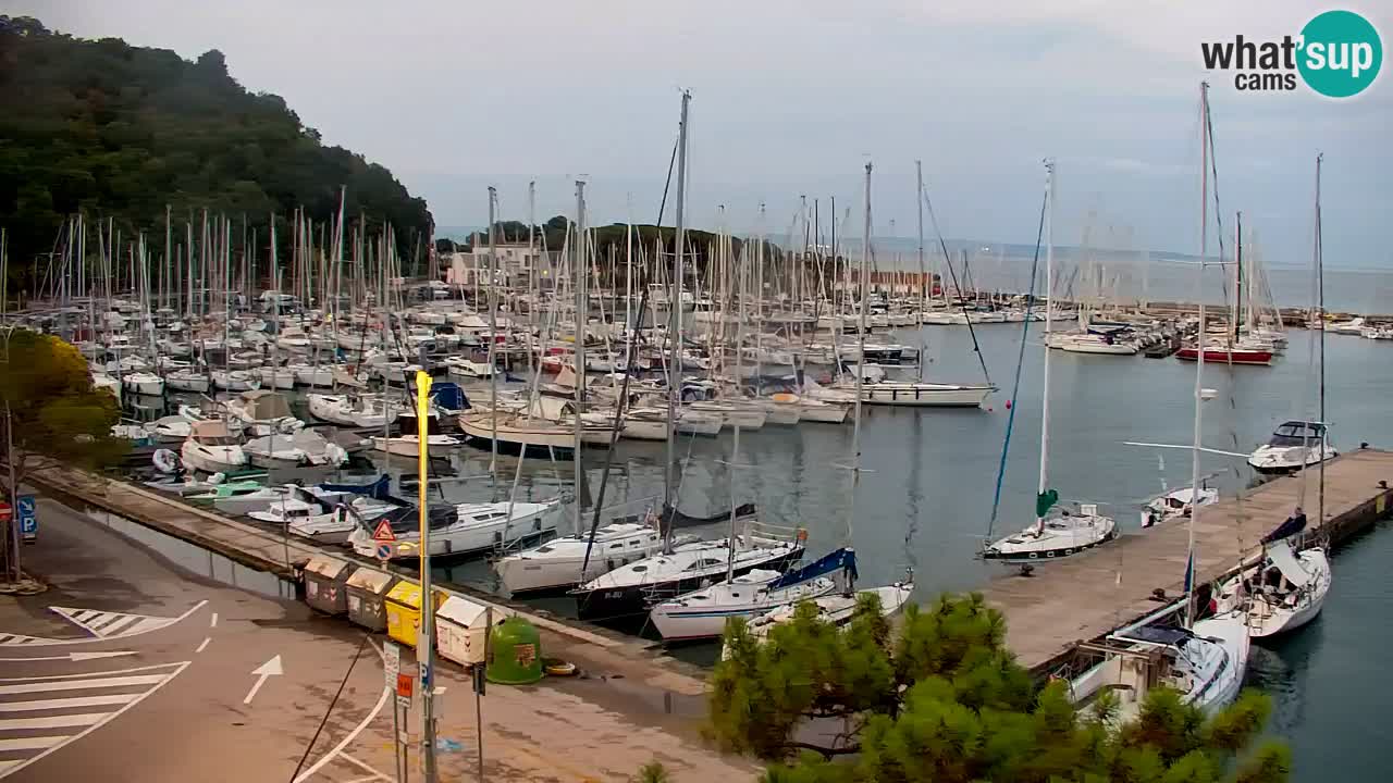 Webcam Sistiana Baia – Live View of the Marina and Gulf