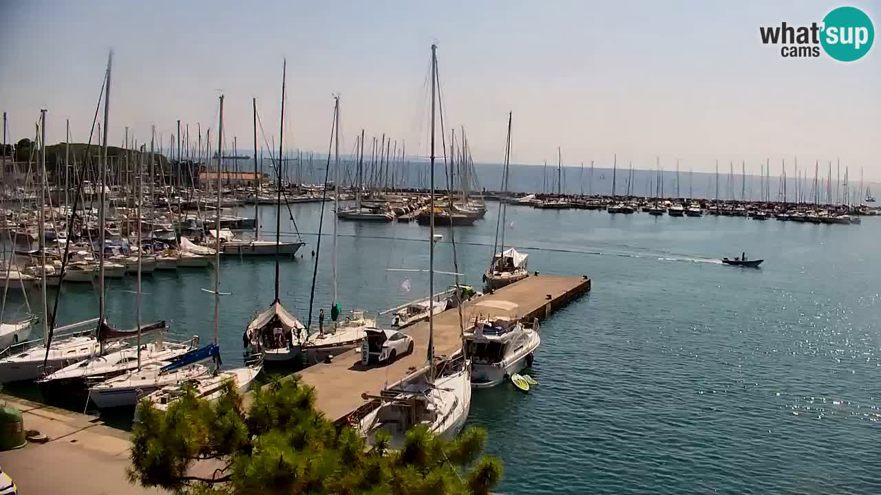 Webcam Baia di Sistiana – Marina e Golfo in diretta
