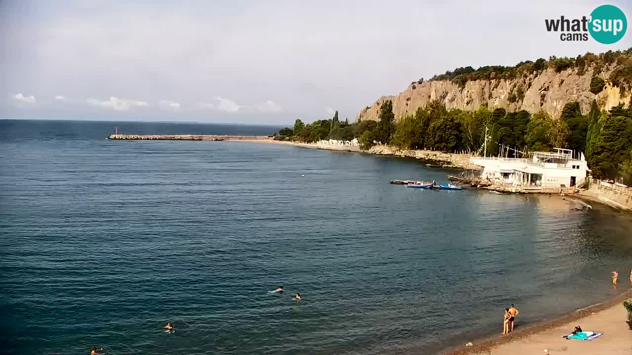 Webcam Sistiana Baia – Live View of the Marina and Gulf