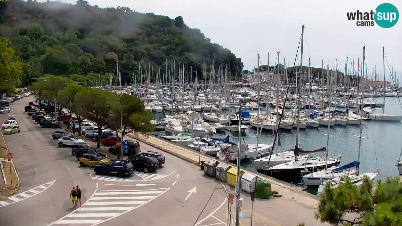 Webcam Sistiana Baia – Live View of the Marina and Gulf