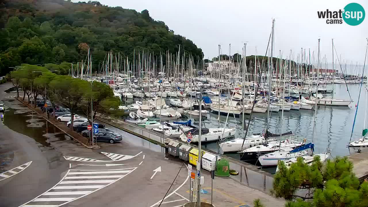 Webcam Sistiana Baia – Live View of the Marina and Gulf