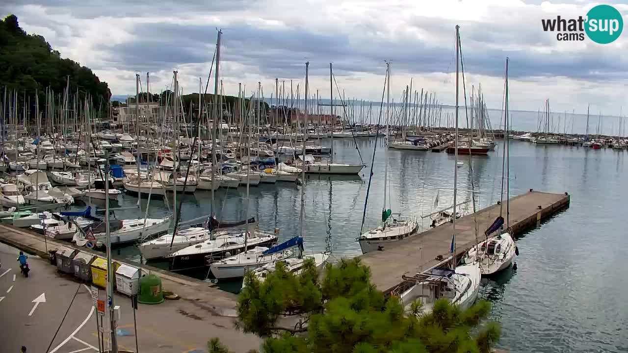 Web kamera Sistiana Uvala – Pogled uživo na marinu i zaljev