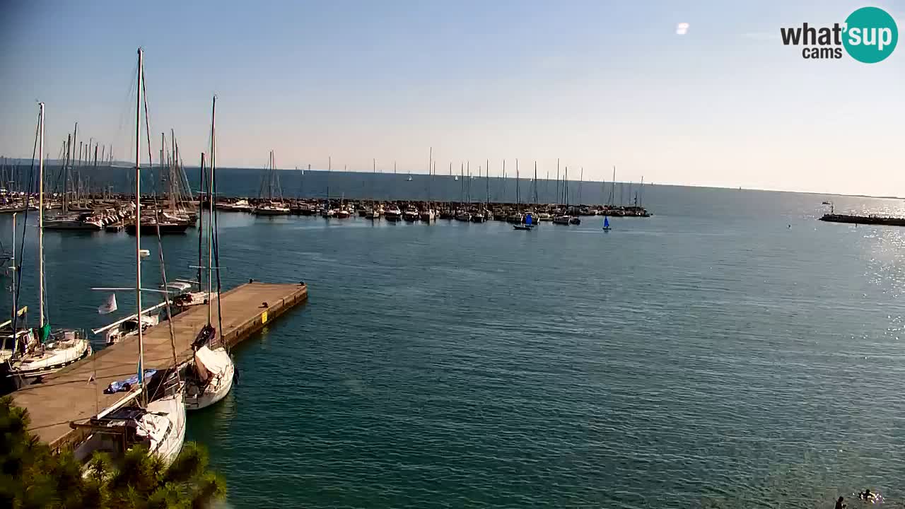 Webcam Sistiana Baia – Live View of the Marina and Gulf