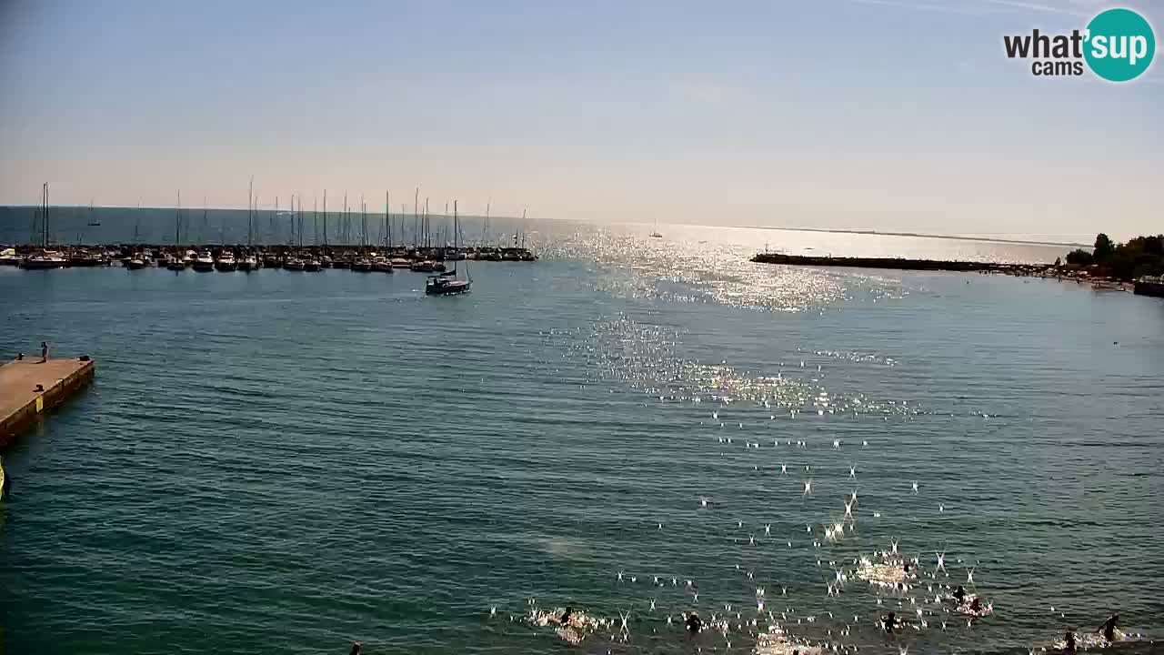 Webcam Bahía de Sistiana – Vista en directo del puerto deportivo y la costa