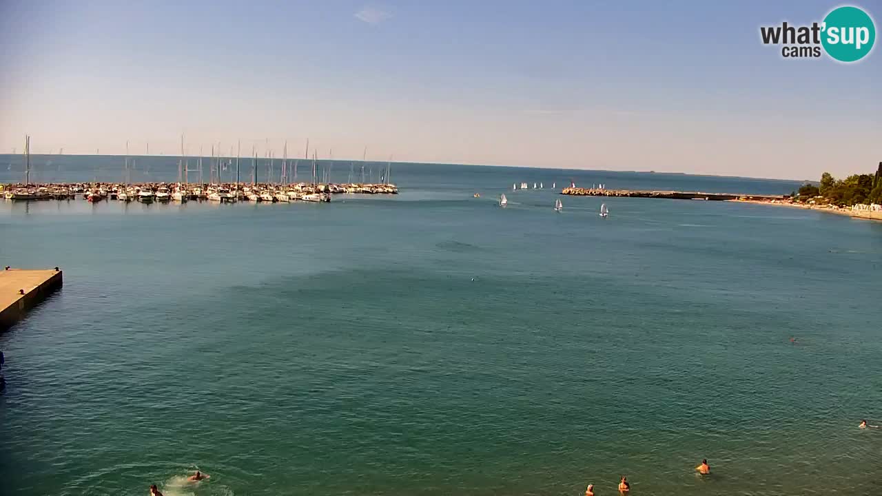 Webcam Sistiana Baia – Live View of the Marina and Gulf