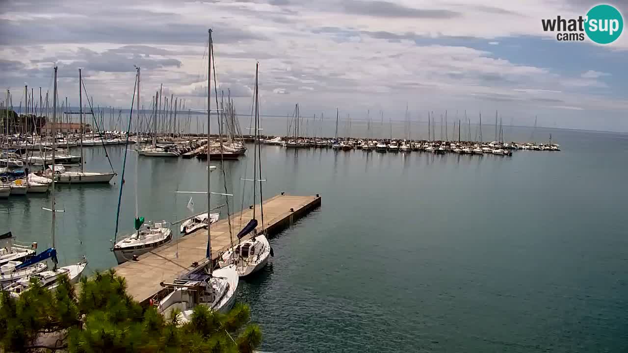 Webcam Sistiana Baia – Live View of the Marina and Gulf