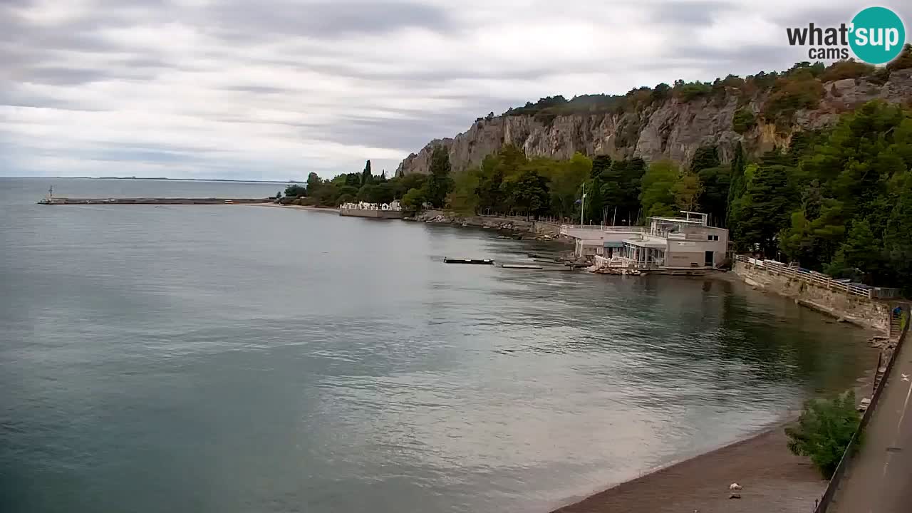 Webcam Bahía de Sistiana – Vista en directo del puerto deportivo y la costa
