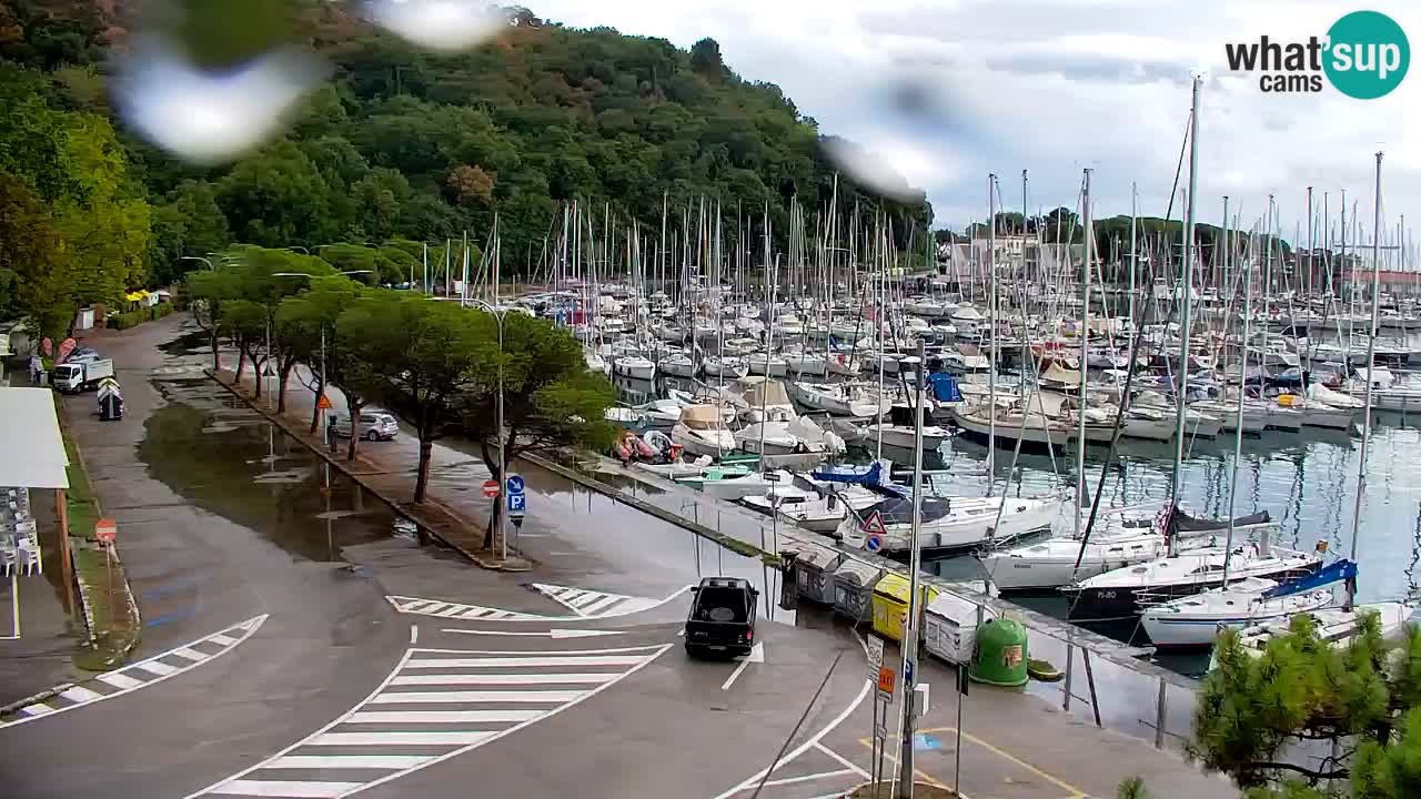 Web kamera Sistiana Uvala – Pogled uživo na marinu i zaljev