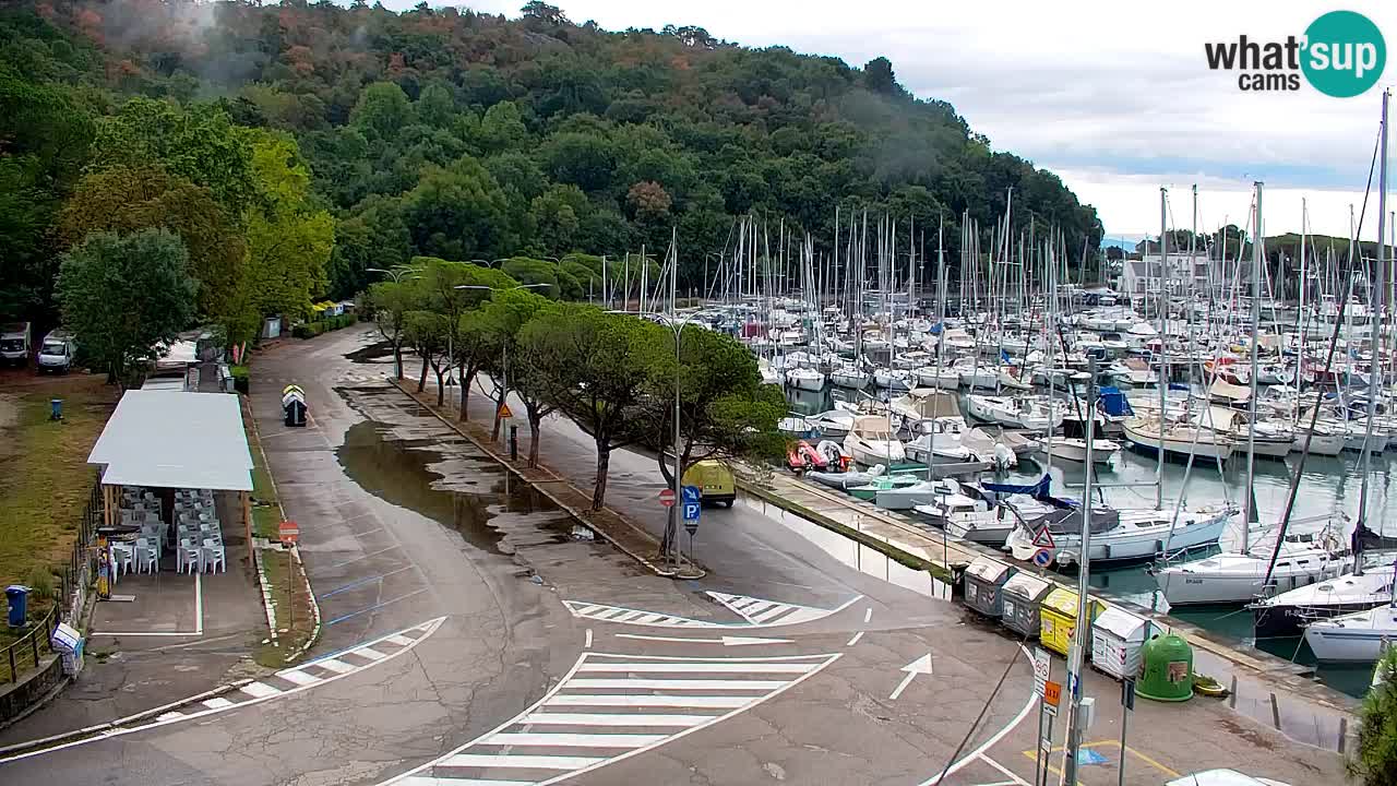 Webcam Bahía de Sistiana – Vista en directo del puerto deportivo y la costa