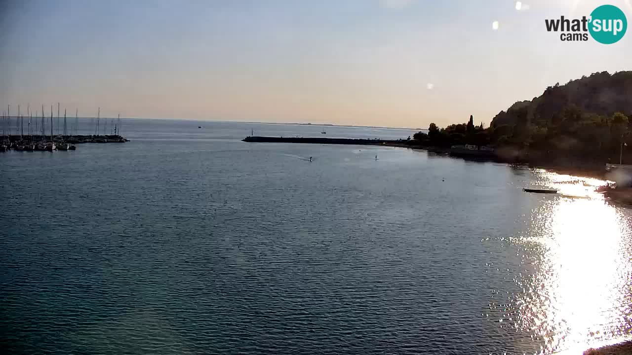 Webcam Sistiana Baia – Live View of the Marina and Gulf