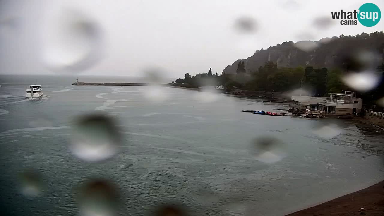 Webcam Sistiana Baia – Live View of the Marina and Gulf
