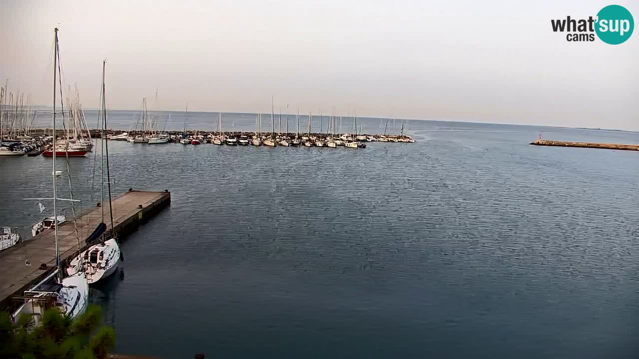 Webcam Bahía de Sistiana – Vista en directo del puerto deportivo y la costa