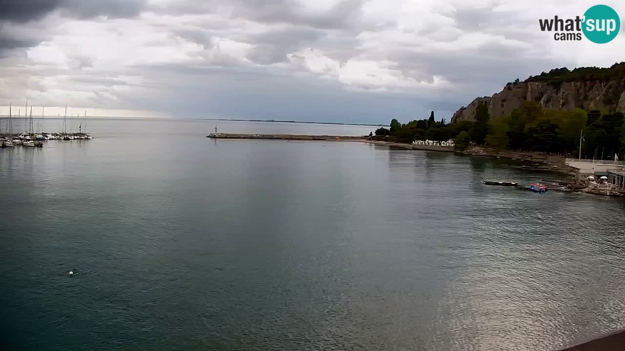 Webcam Sistiana Baia – Live View of the Marina and Gulf