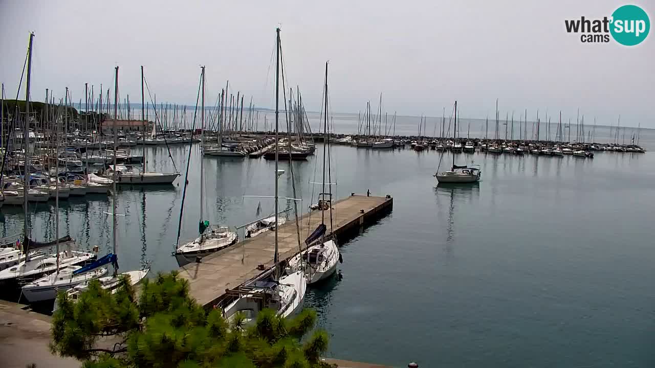 Webcam Sistiana Baia – Live View of the Marina and Gulf