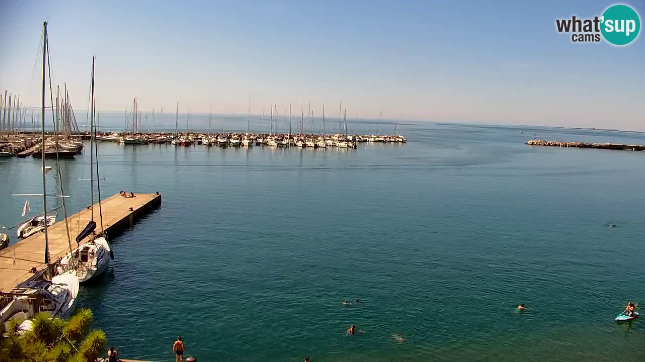 Web kamera Sistiana Uvala – Pogled uživo na marinu i zaljev
