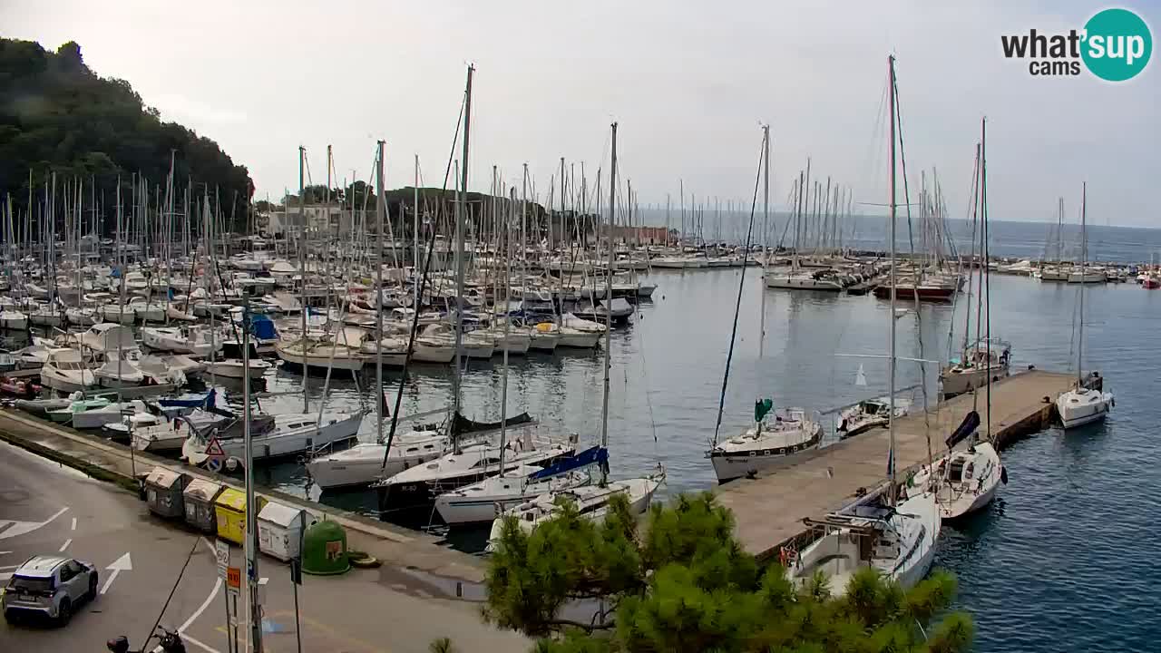 Web kamera Sistiana Uvala – Pogled uživo na marinu i zaljev