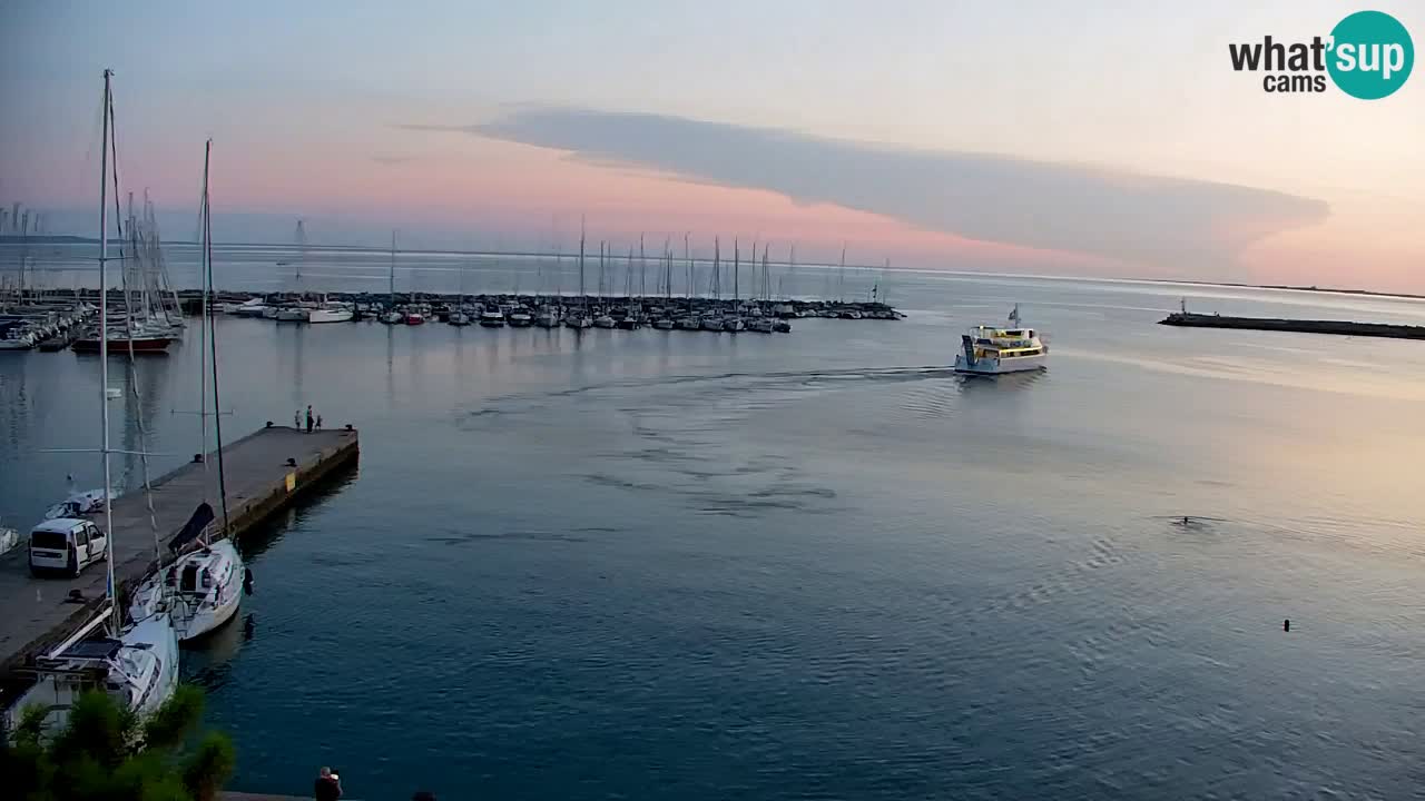 Webcam Sistiana Baia – Live View of the Marina and Gulf