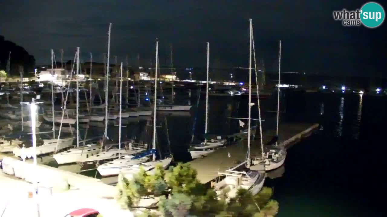 Web kamera Sistiana Uvala – Pogled uživo na marinu i zaljev