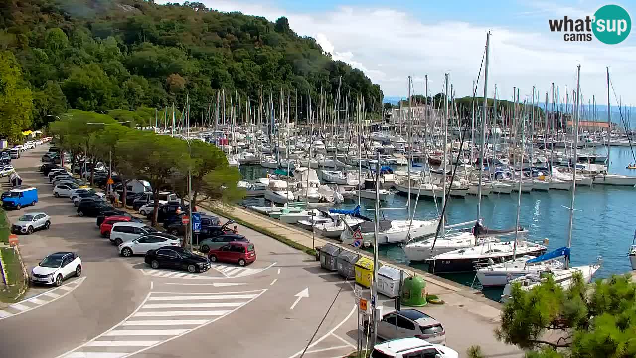 Webcam Sistiana Baia – Live View of the Marina and Gulf