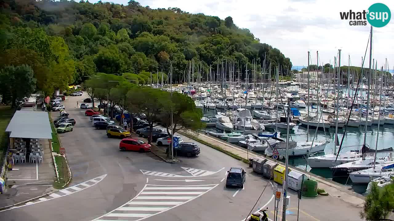 Webcam Sistiana Baia – Live View of the Marina and Gulf