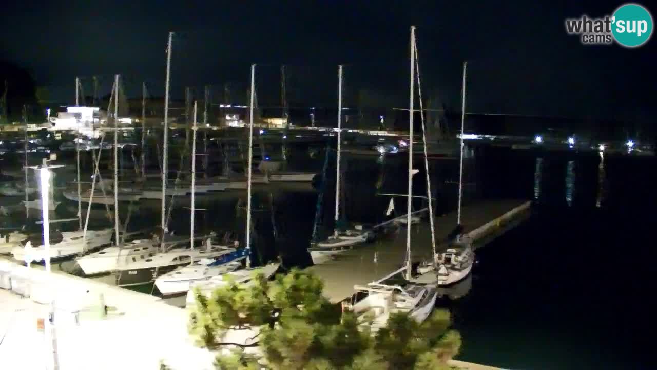 Webcam Bahía de Sistiana – Vista en directo del puerto deportivo y la costa