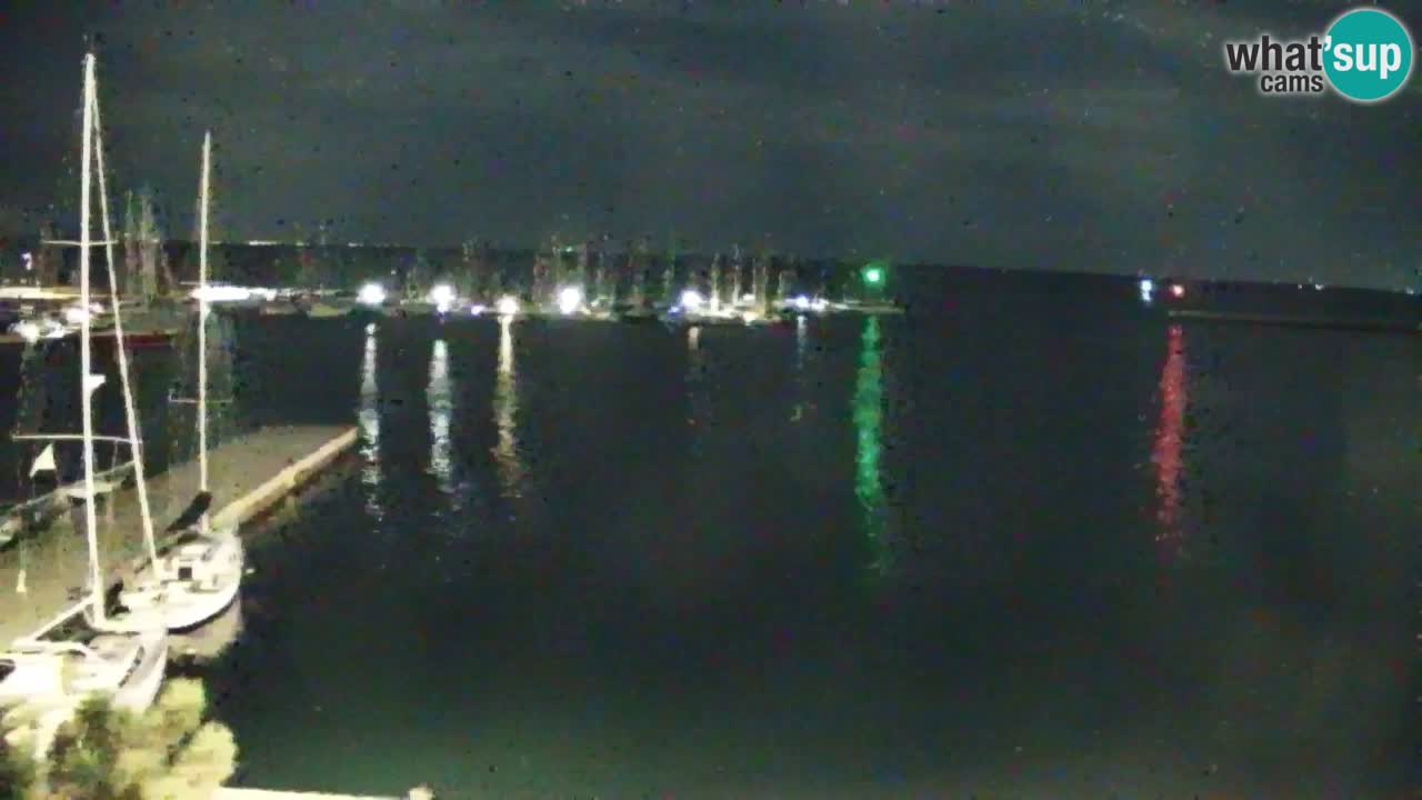 Webcam Sistiana Baia – Live View of the Marina and Gulf
