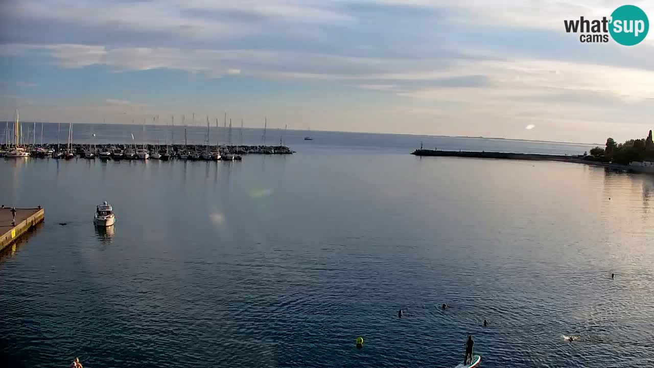 Webcam Bahía de Sistiana – Vista en directo del puerto deportivo y la costa