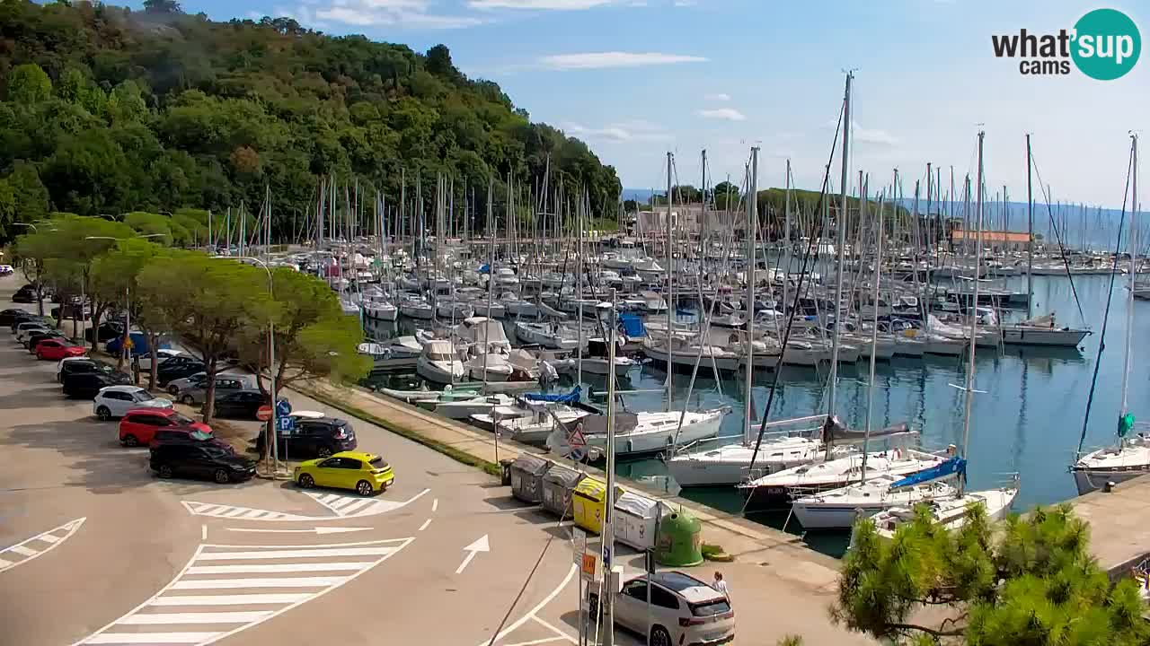 Webcam Sistiana Baia – Live View of the Marina and Gulf