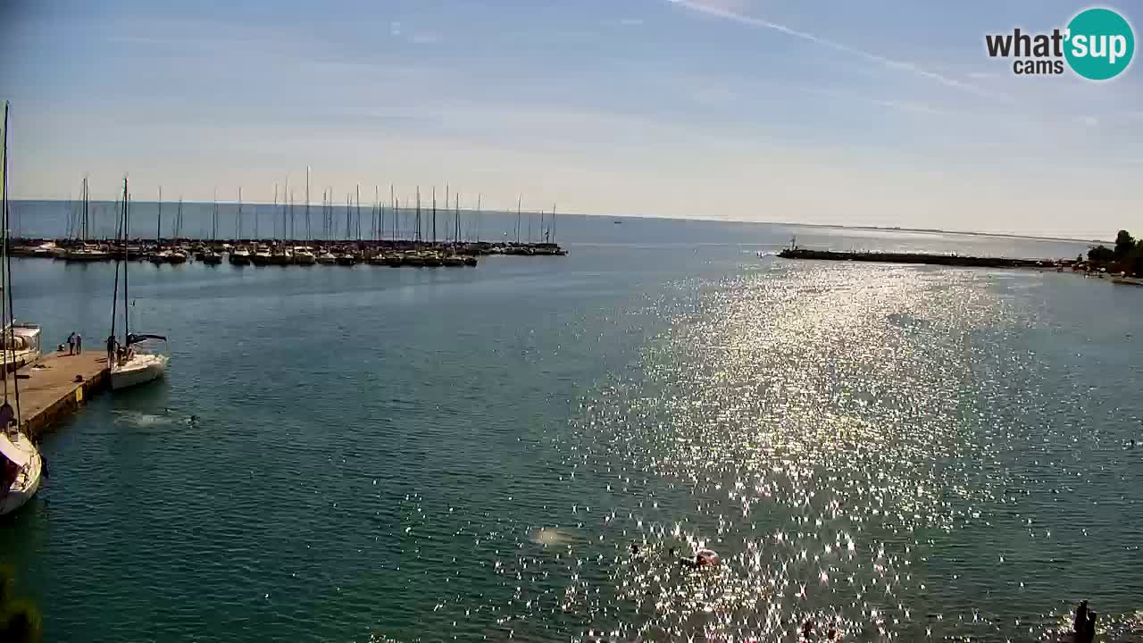 Webcam Sistiana Baia – Live View of the Marina and Gulf