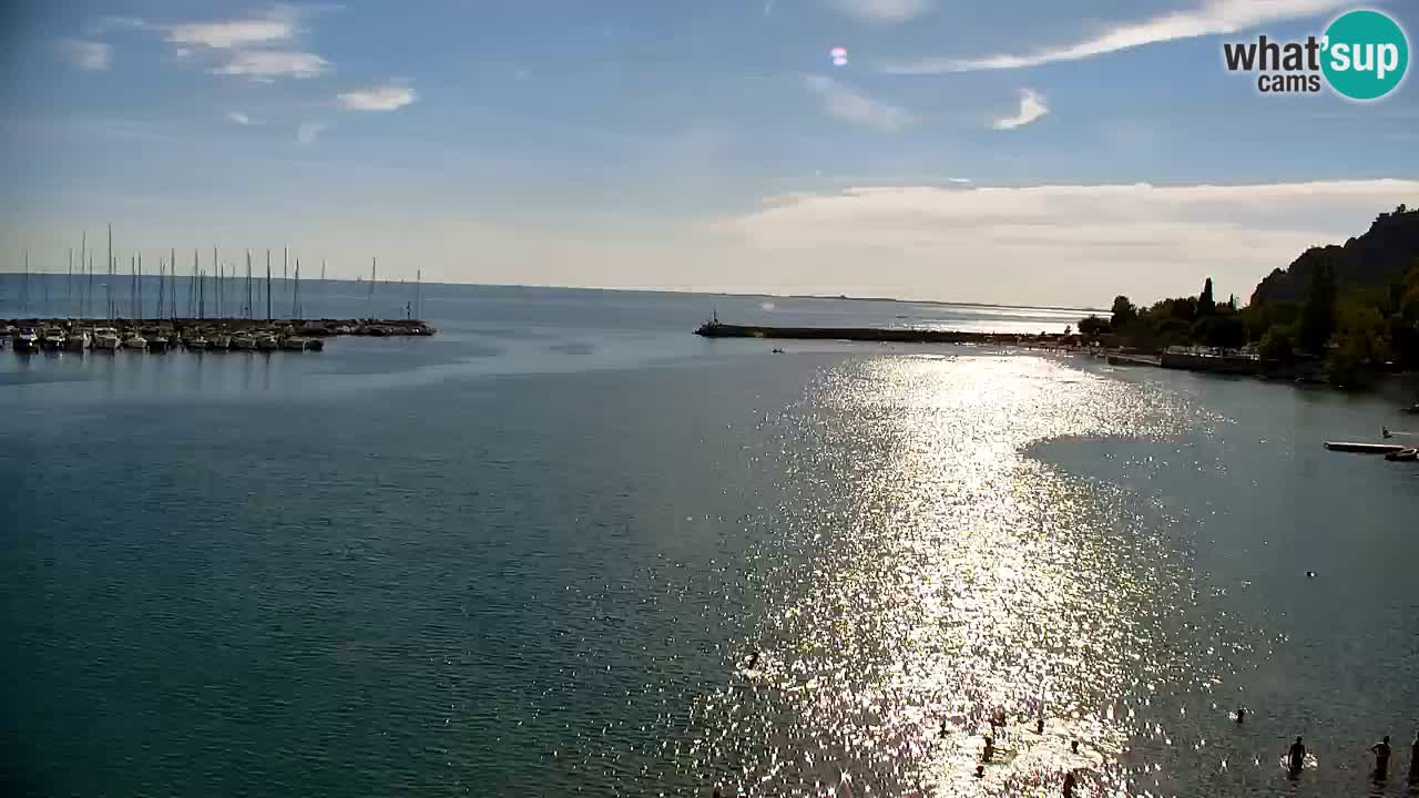 Web kamera Sistiana Uvala – Pogled uživo na marinu i zaljev