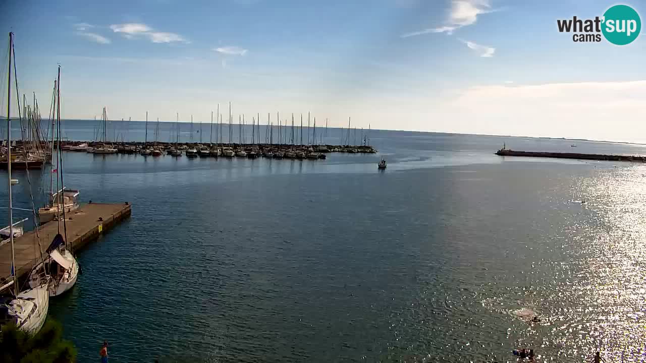 Webcam Bahía de Sistiana – Vista en directo del puerto deportivo y la costa