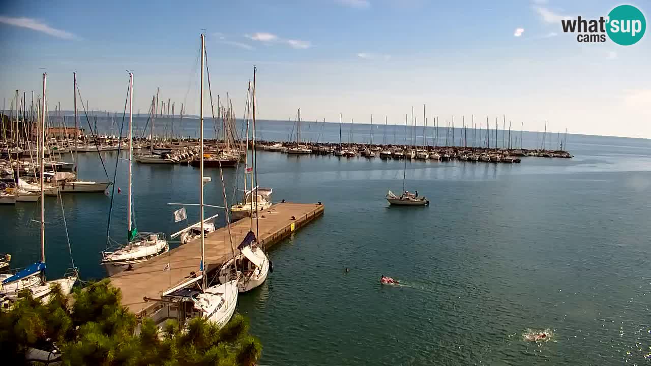 Webcam Sistiana Baia – Live View of the Marina and Gulf