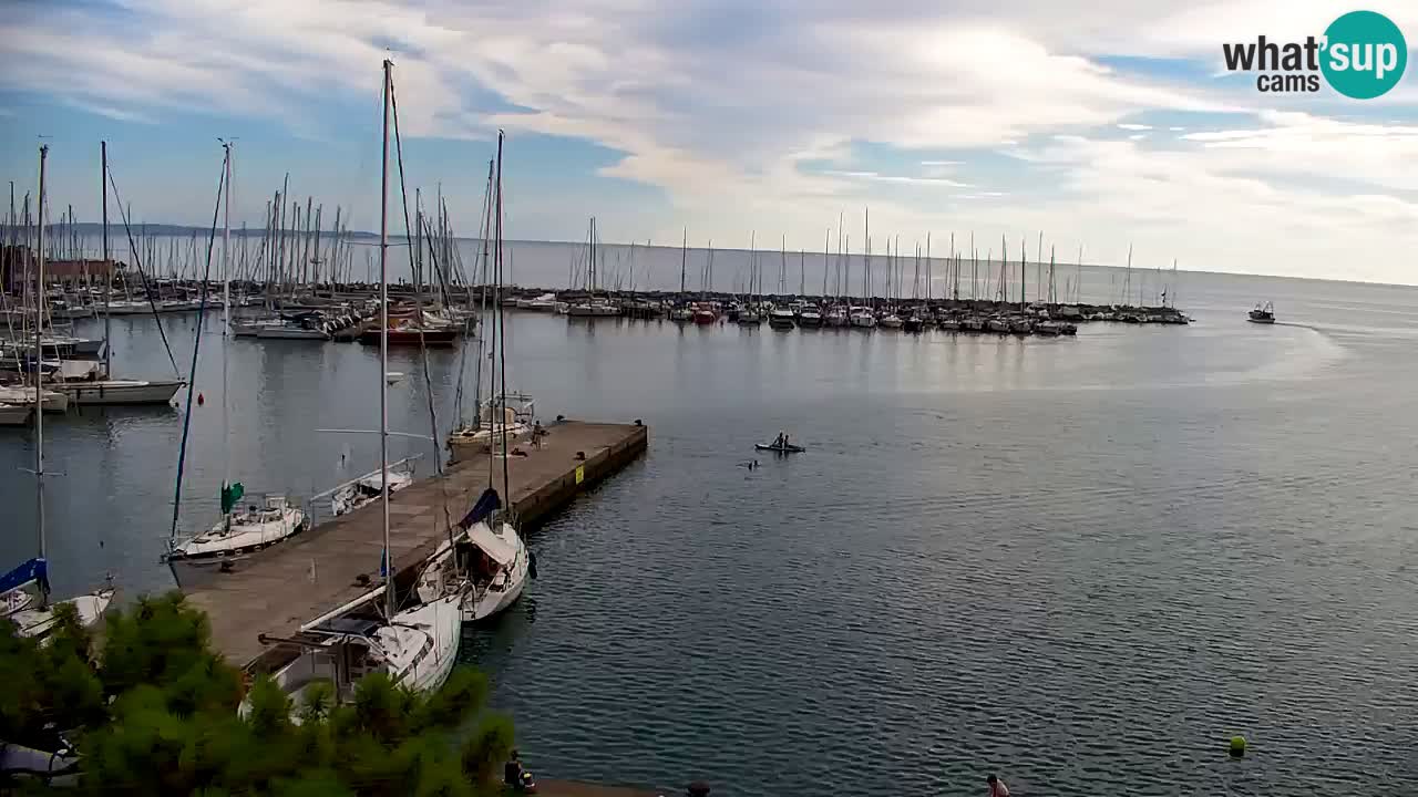 Webcam Sistiana Baia – Live View of the Marina and Gulf