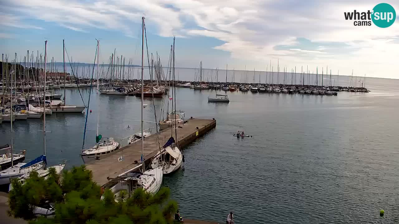 Webcam Sistiana Baia – Live View of the Marina and Gulf
