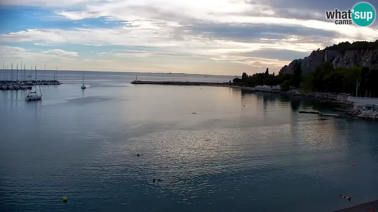 Webcam Sistiana Baia – Live View of the Marina and Gulf