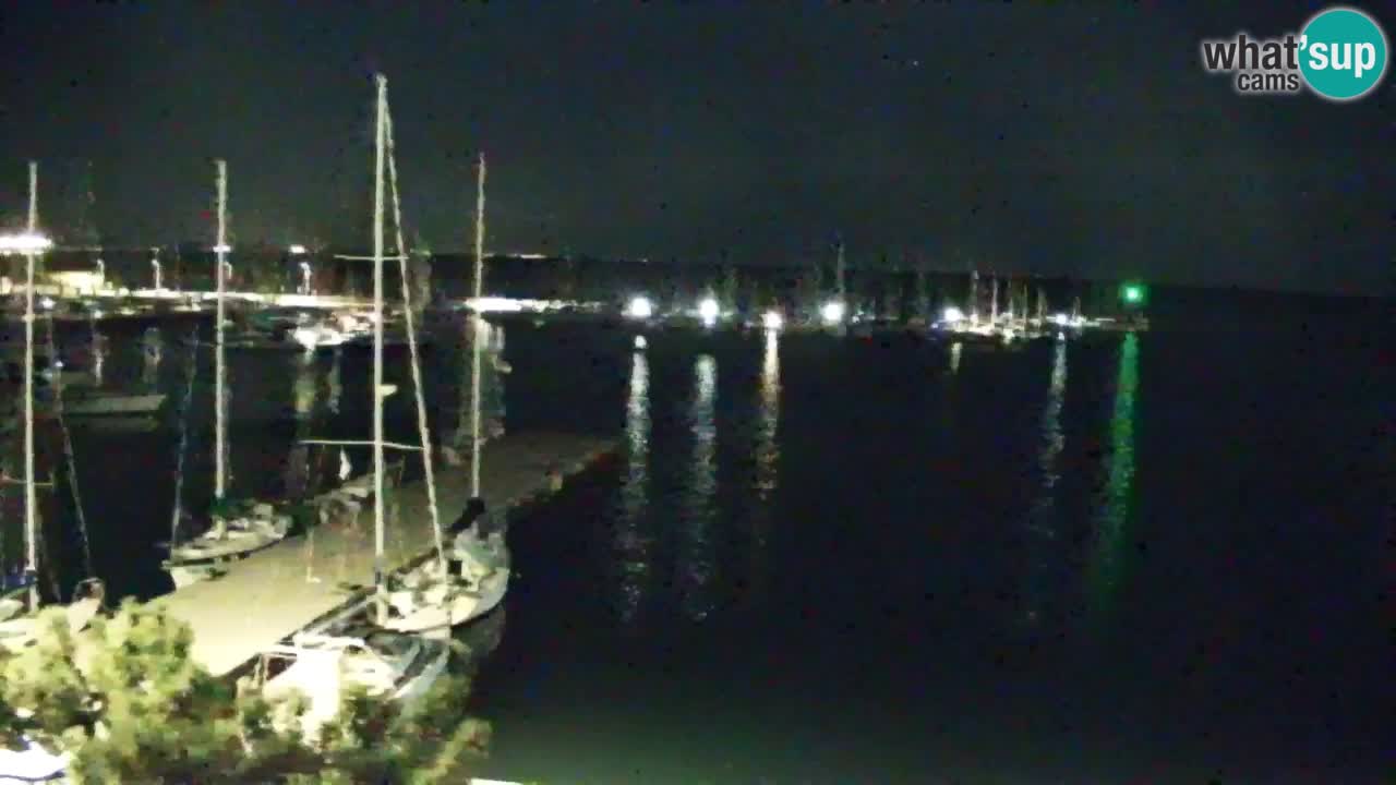 Webcam Sistiana Baia – Live View of the Marina and Gulf