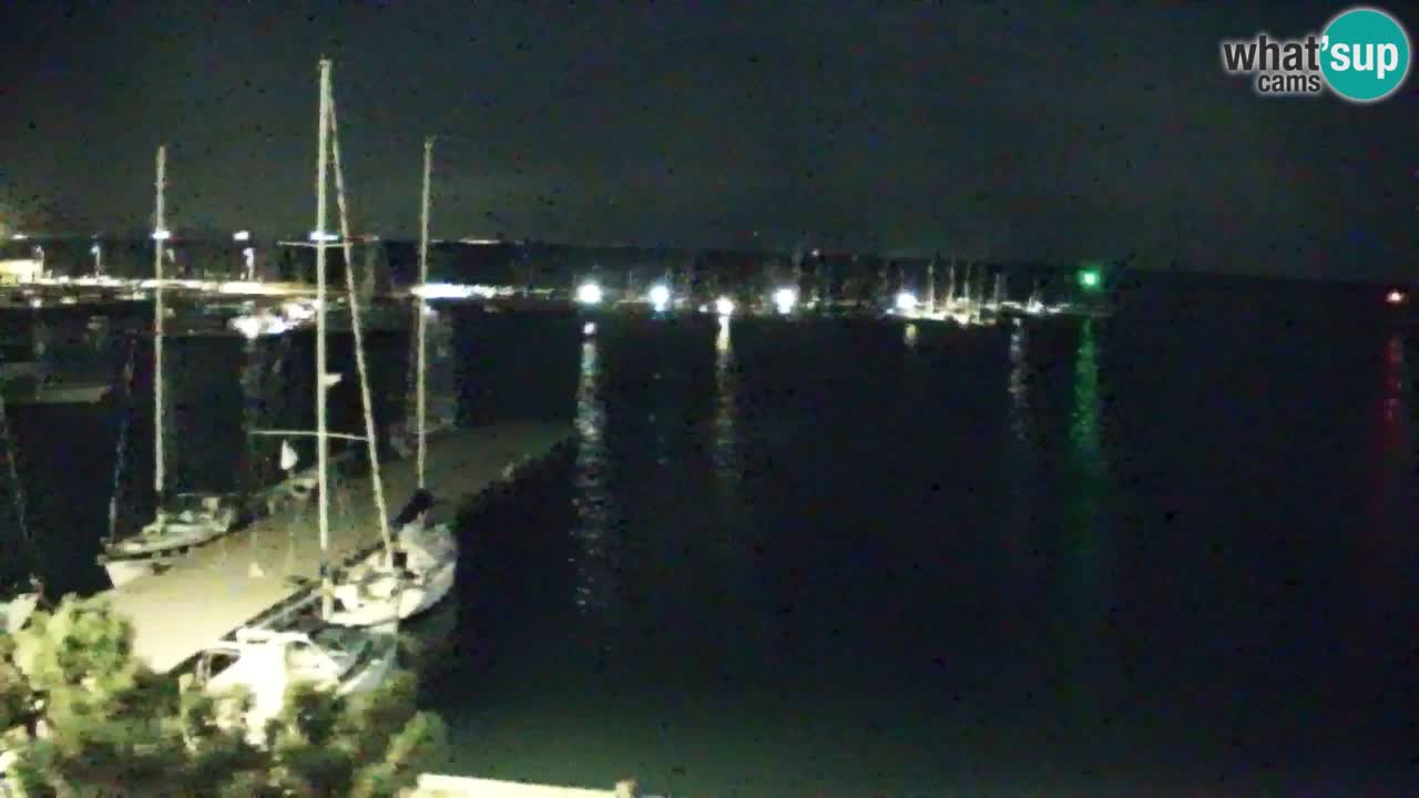 Webcam Sistiana Baia – Live View of the Marina and Gulf