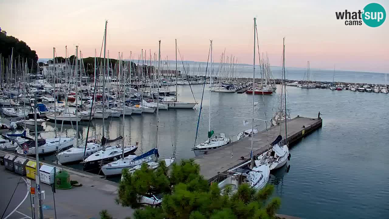 Webcam Sistiana Baia – Live View of the Marina and Gulf