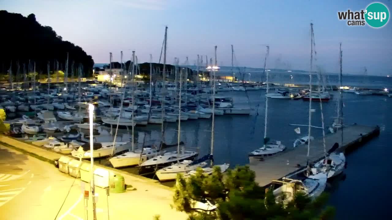 Webcam Sistiana Baia – Live View of the Marina and Gulf