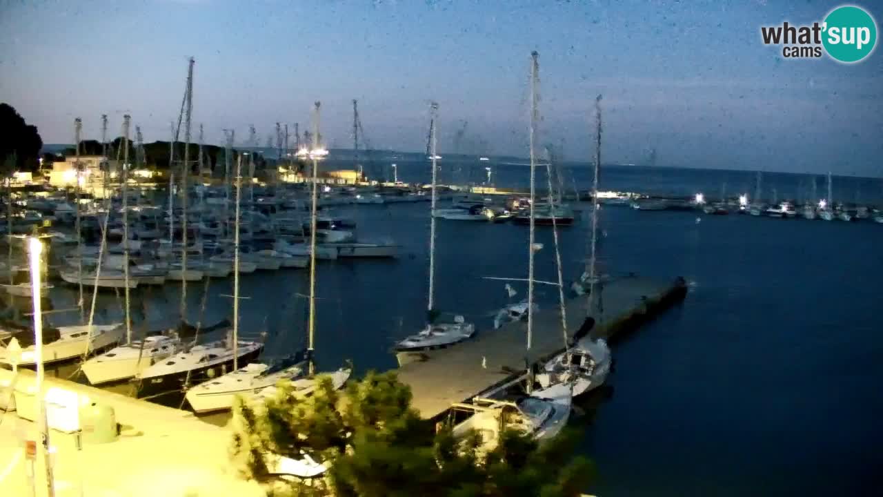 Webcam Sistiana Baia – Live View of the Marina and Gulf