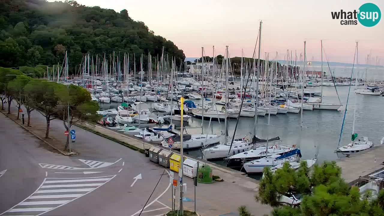 Webcam Bahía de Sistiana – Vista en directo del puerto deportivo y la costa