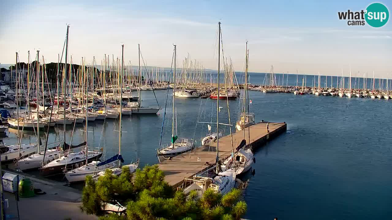 Webcam Sistiana Baia – Live View of the Marina and Gulf