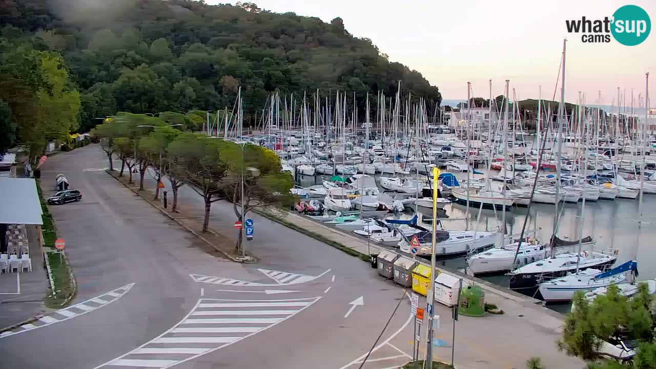 Webcam Sistiana Baia – Live View of the Marina and Gulf