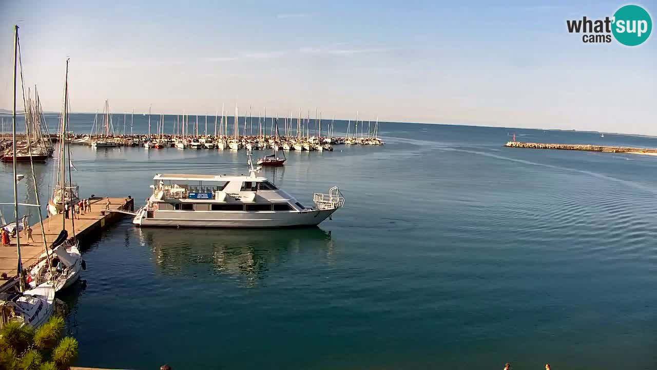 Spletna kamera Sesljanski zaliv – Pogled v živo na marino in zaliv