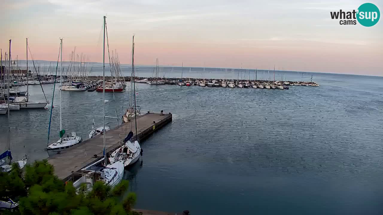 Web kamera Sistiana Uvala – Pogled uživo na marinu i zaljev