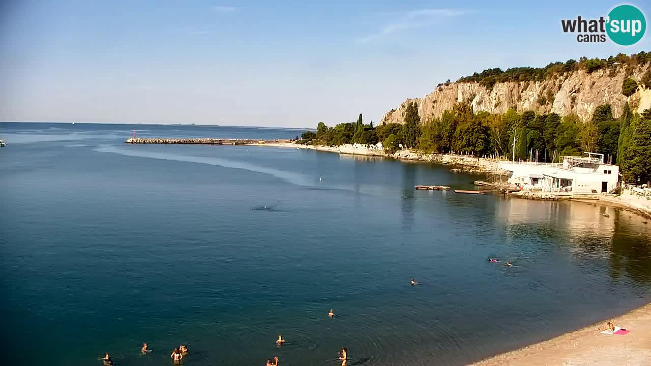 Webcam Bahía de Sistiana – Vista en directo del puerto deportivo y la costa